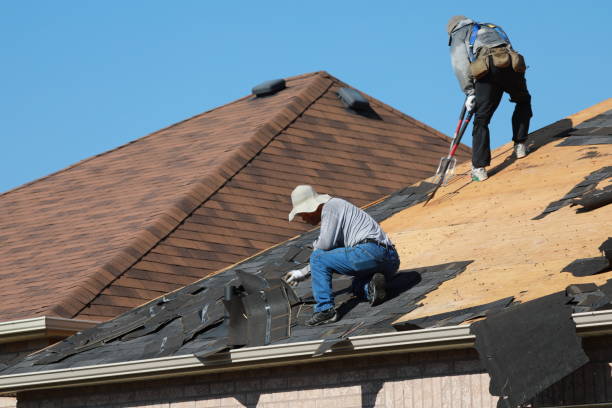 Best Roof Maintenance and Cleaning  in Ashland, IL