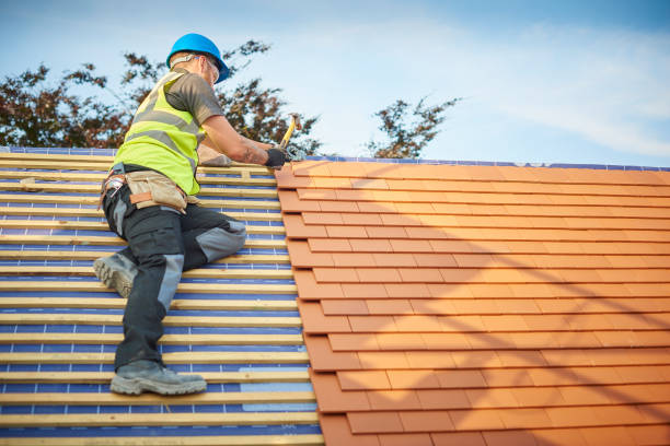 Best Solar Panel Roofing Installation  in Ashland, IL